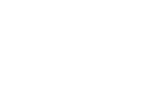 BEST DIRECTOR OF PHOTOGRAPHY - Bridge Fest - 2024