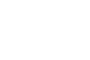 BEST EDITOR - Bridge Fest - 2024