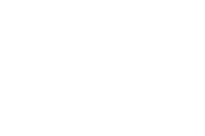 BEST PRODUCER - Bridge Fest - 2024