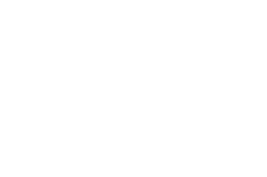 OFFICIAL SELECTION - Bridge Fest - 2024