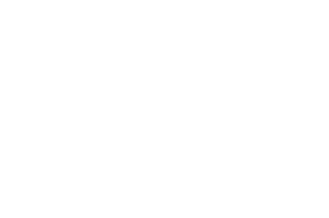 OFFICIAL SELECTION - Canadian Tamil International Film Festival - 2025