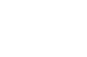OFFICIAL SELECTION - International South Asian Film Festival Canada - 2025