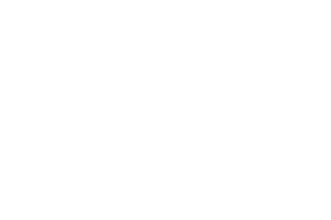 OFFICIAL SELECTION - Mosaic International South Asian Film Festival MISAFF - 2025