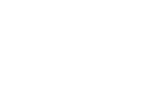 OFFICIAL SELECTION - New Westminster International Film Festival - 2025