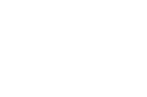 OFFICIAL SELECTION - TAMIZHAGAM INTERNATIONAL FILM FESTIVAL - 2024