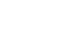 OFFICIAL SELECTION - Toronto Tamil I Film Festival - 2025