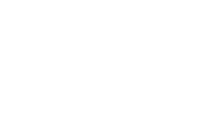 OFFICIAL SELECTION - Vancouver International Youth Film Festival - 2025