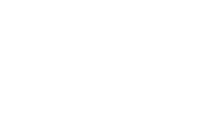 OFFICIALSELECTIONCOMPETITION-BengaluruInternationalShortFilmFestival-2025 (White)